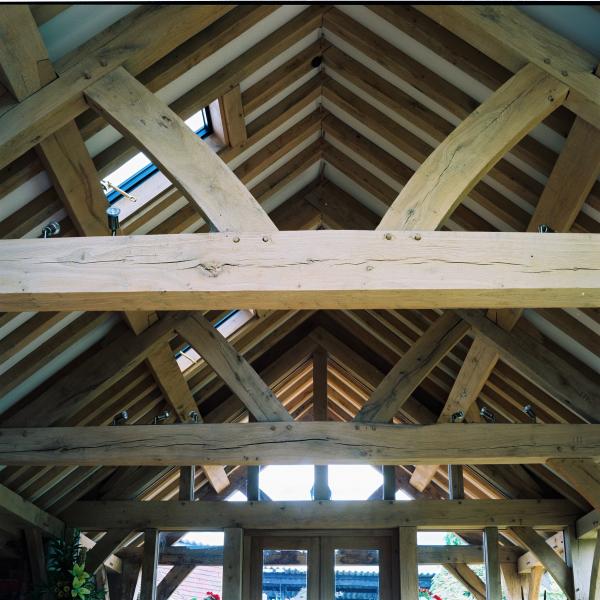 Simple oak frame barn roof in a garden room style extension.